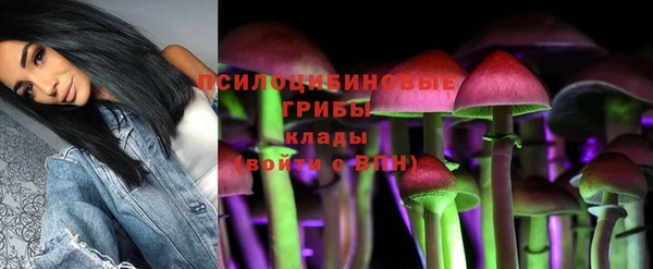 каннабис Алзамай
