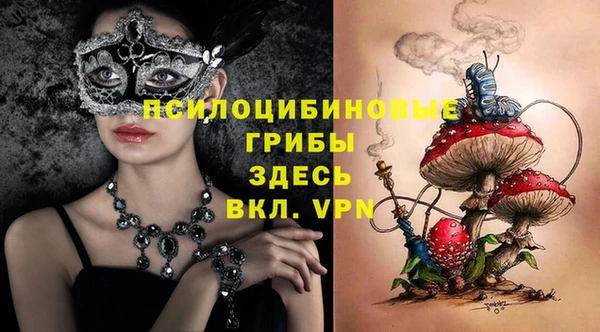 скорость Алексин