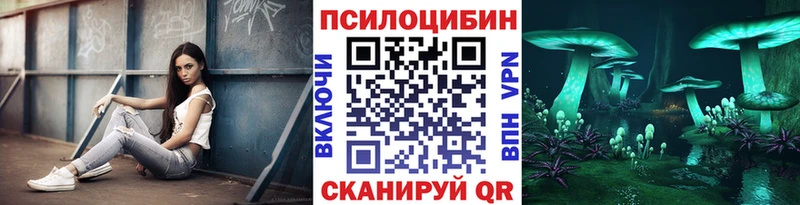 Псилоцибиновые грибы Psilocybe Орехово-Зуево