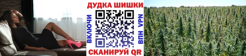 Марихуана конопля  маркетплейс формула  Орехово-Зуево  купить  сайты 